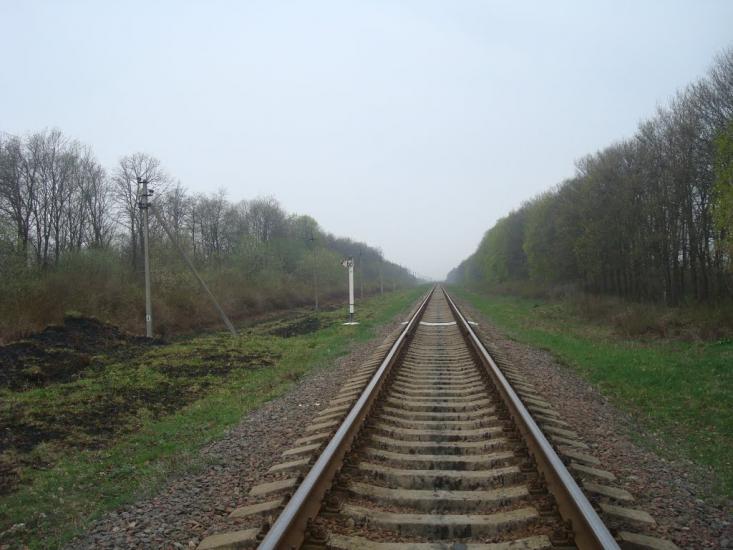 Пашківці з panoramio.com - Пашковцы