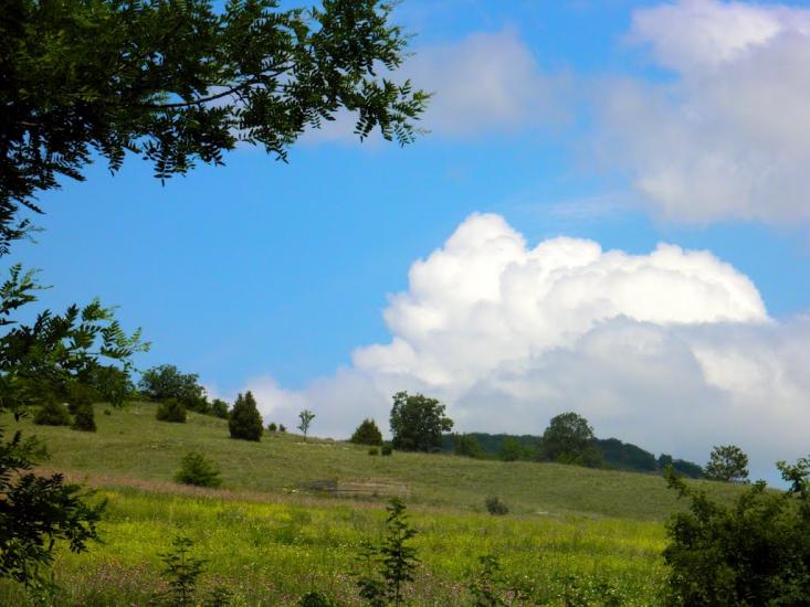 Холмівка з panoramio.com - Холмовка