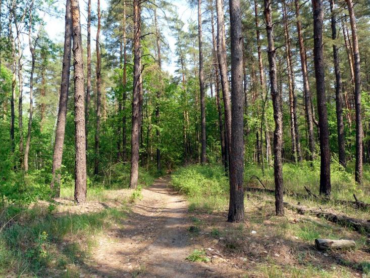 Бірки з panoramio.com - Бірки