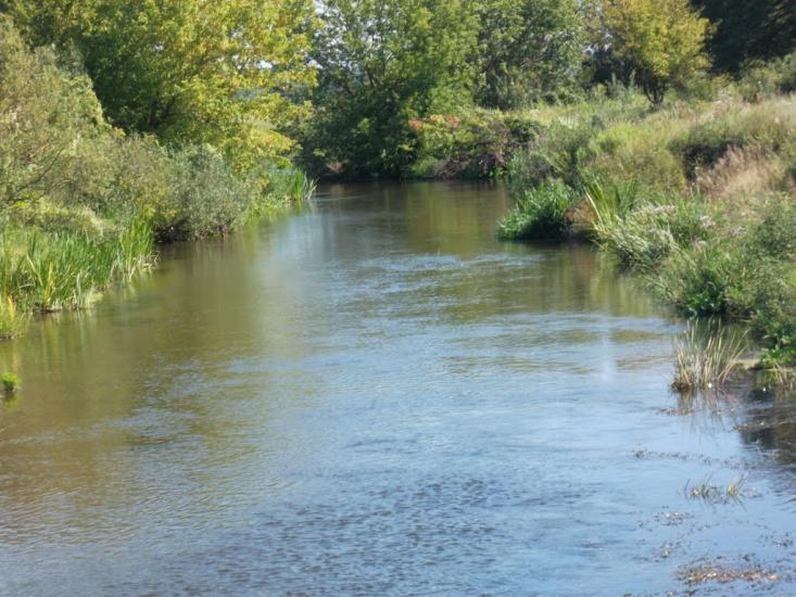 Ялцівка з panoramio.com - Ялцовка