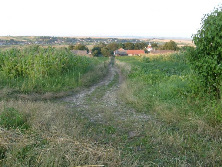 Чорний Острів з panoramio.com - Чорний Острів