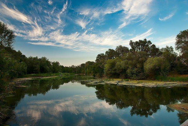 Крива Лука з panoramio.com - Крива Лука