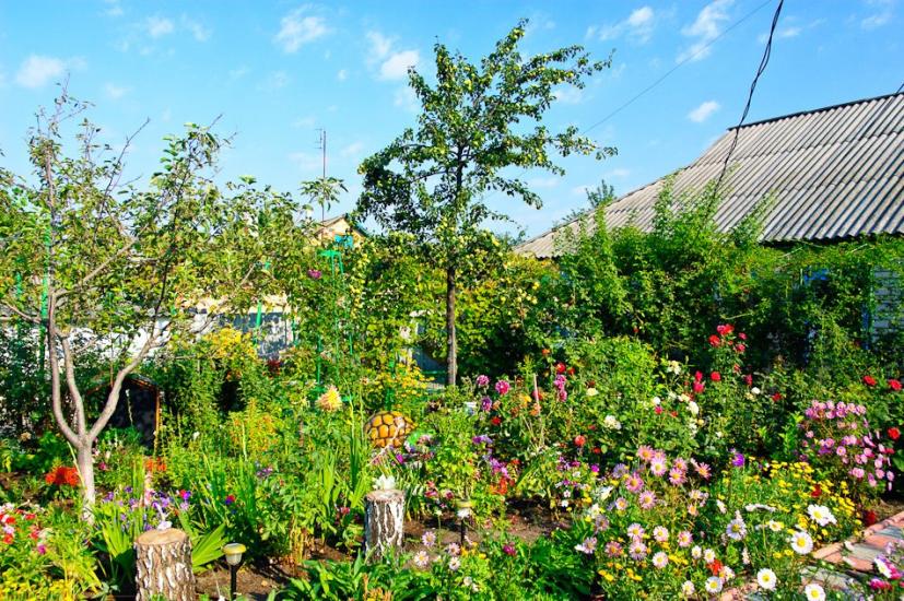 Борова з panoramio.com - Боровая