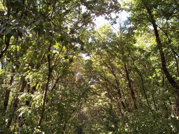 Леніна Друге з panoramio.com - Ленина Второе