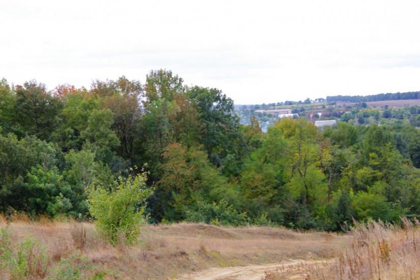 Осіївка з panoramio.com - Осиевка