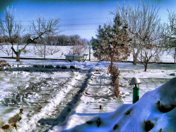 Комишуваха з panoramio.com - Комишуваха