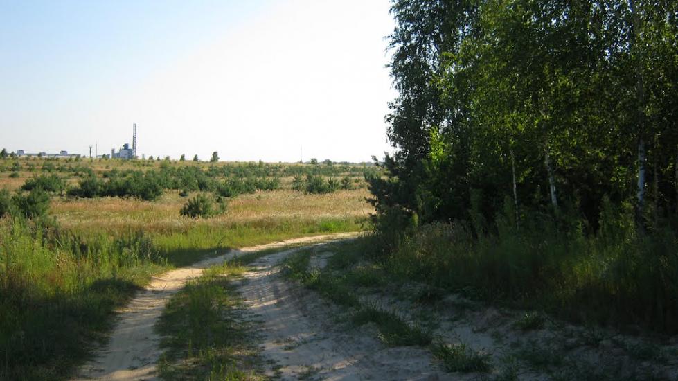 Залісся з panoramio.com - Залісся