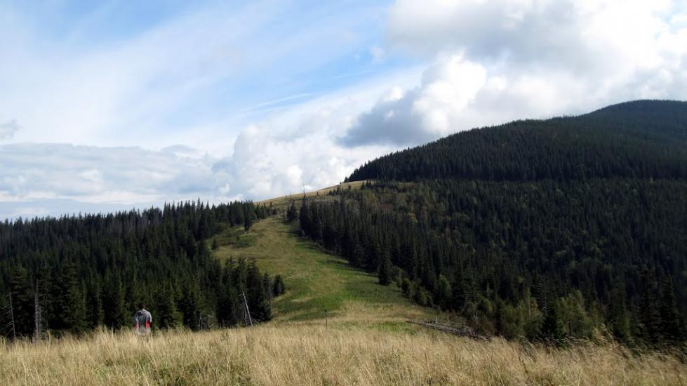 Мислівка з panoramio.com - Мысливка