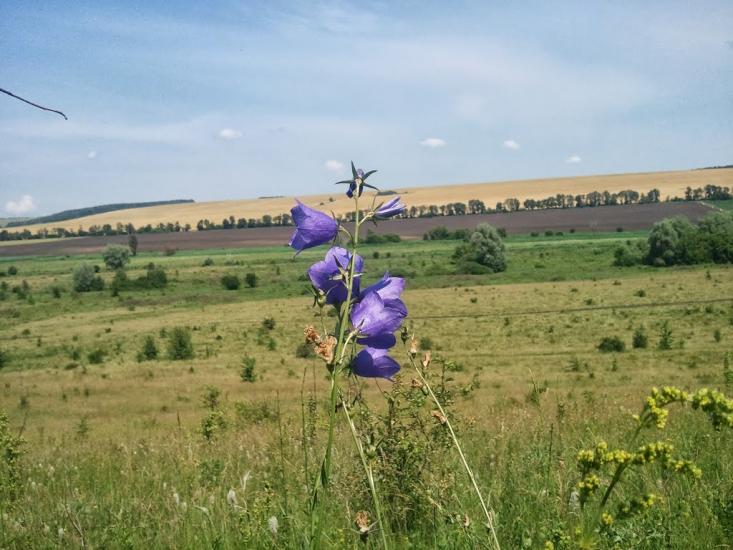 Новоукраїнка з panoramio.com - Новоукраїнка