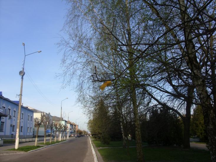 Сарни з panoramio.com - Сарни