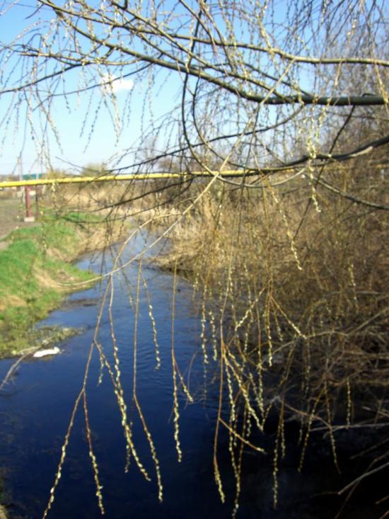 Балта з panoramio.com - Балта