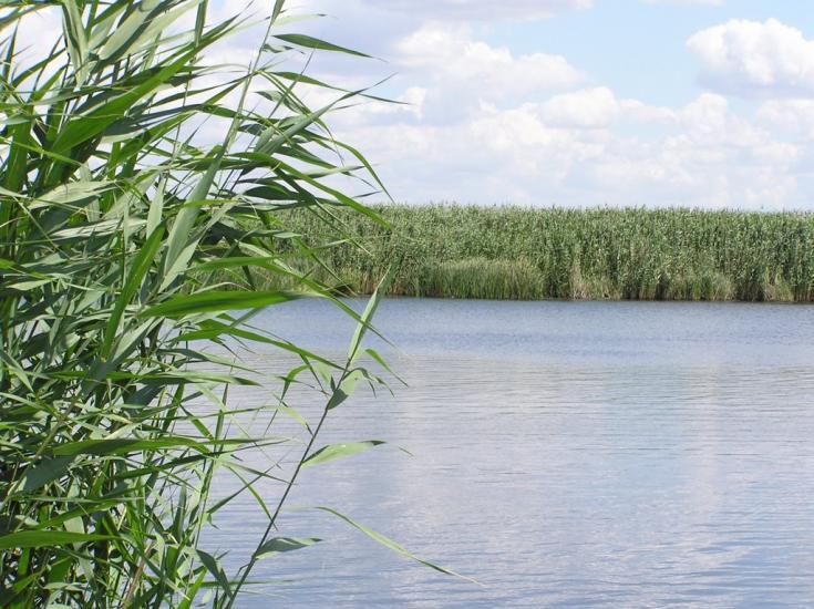 Ювілейне з panoramio.com - Yuvileyne