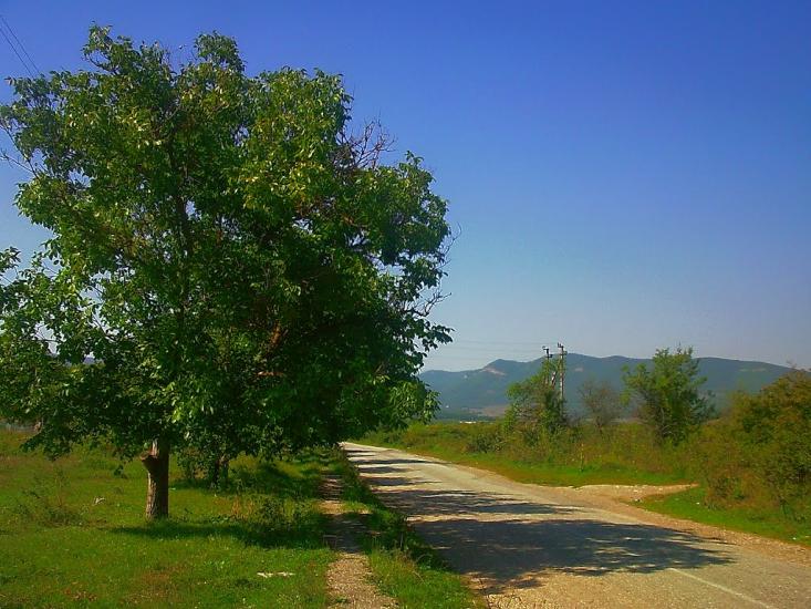 Плотинне з panoramio.com - Плотинное