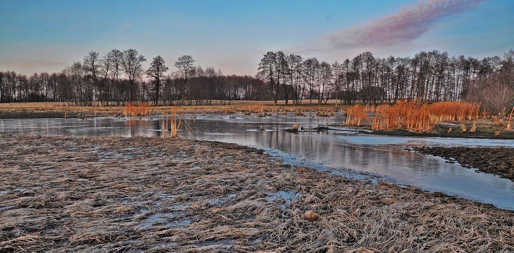 Комунарівка з panoramio.com - Коммунаровка