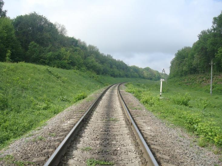 Нестерівці з panoramio.com - Нестеровцы