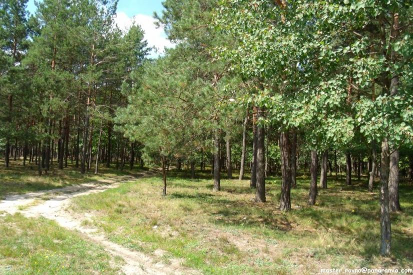 Сарни з panoramio.com - Сарни