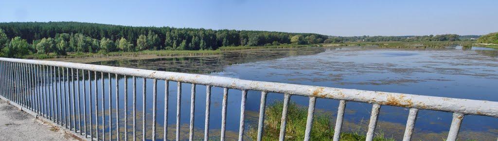 Велика Солтанівка з panoramio.com - Велика Солтанівка