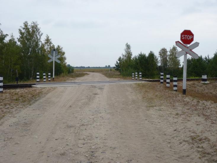 Деревини з panoramio.com - Деревины