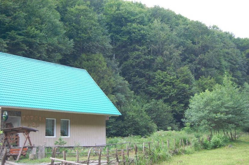 Осій з panoramio.com - Осій