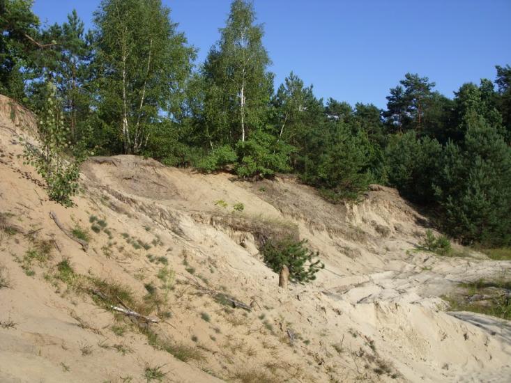 Турійськ з panoramio.com - Турийск