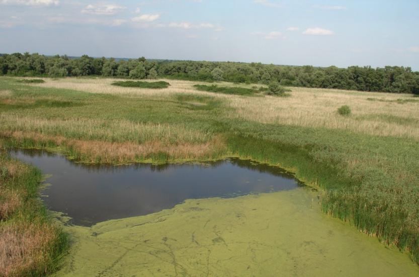 Придніпровське з panoramio.com - Придніпровське