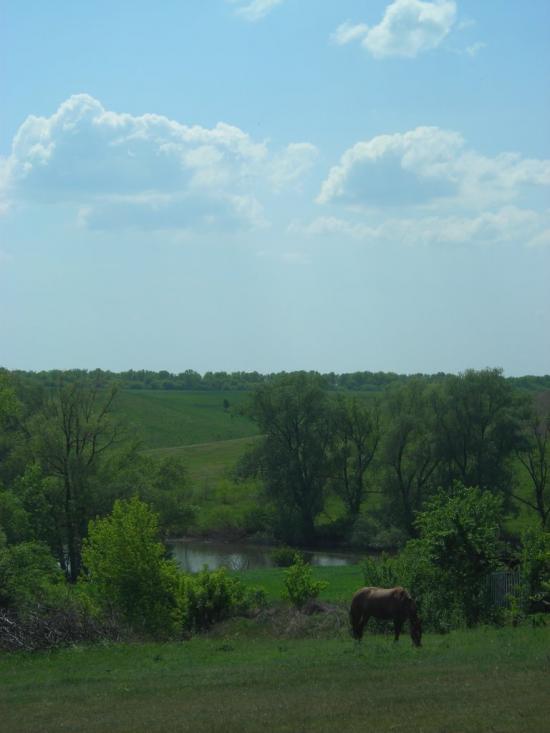 Єлизаветівка з panoramio.com - Єлизаветівка