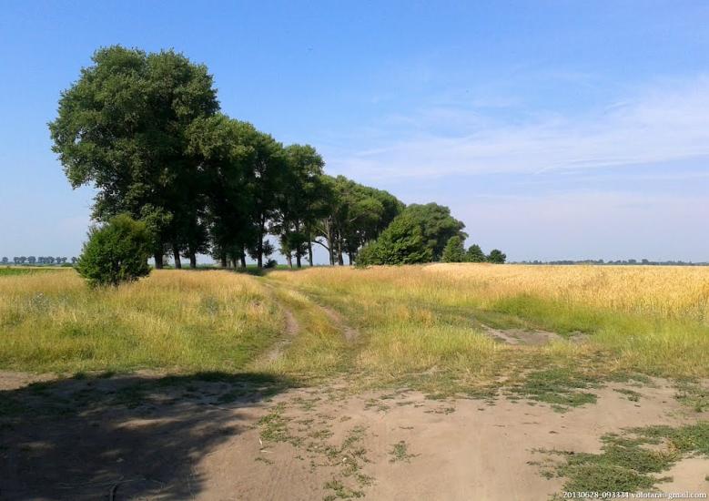 Переяслівка з panoramio.com - Переяслівка