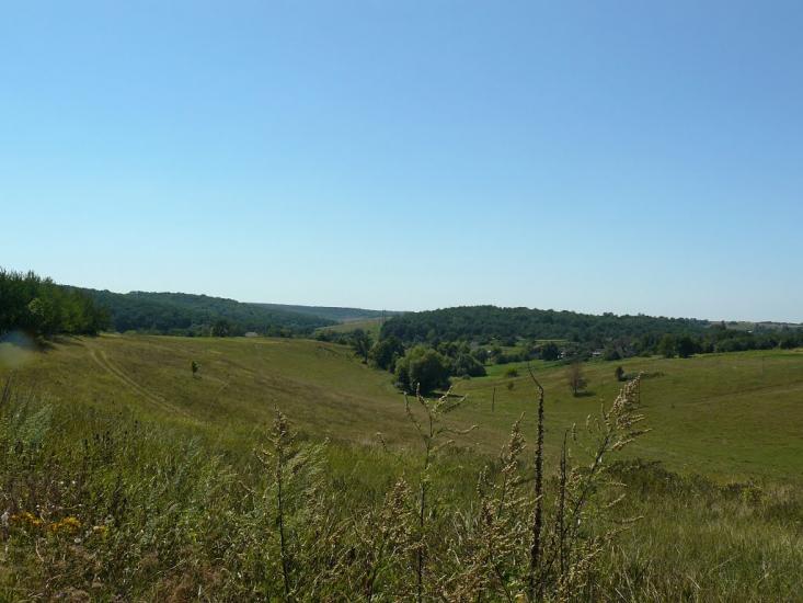 Сніжки з panoramio.com - Snizhky