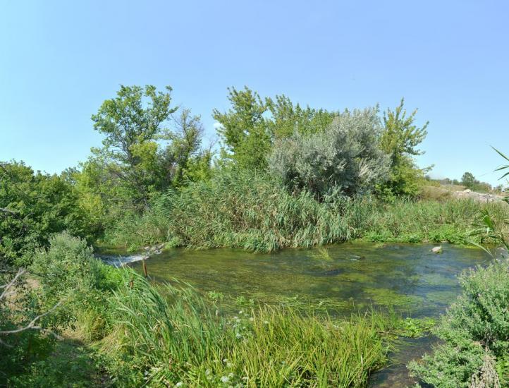 Родникове з panoramio.com - Родниково