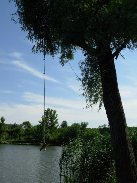 Високий з panoramio.com - Высокий