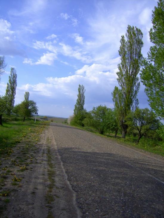 Несвоя з panoramio.com - Nesvoya