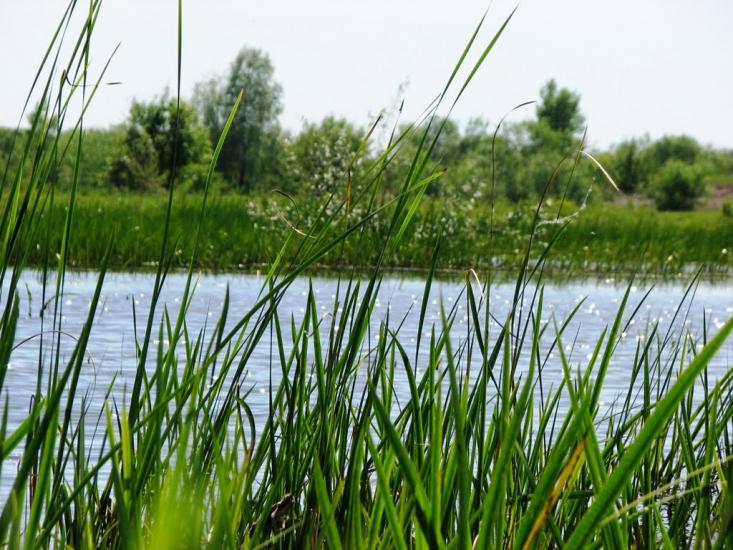 Неданчичі з panoramio.com - Неданчичи