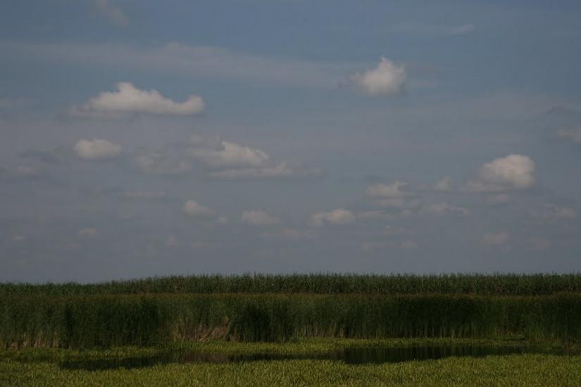 Велика Бурімка з panoramio.com - Великая Буромка