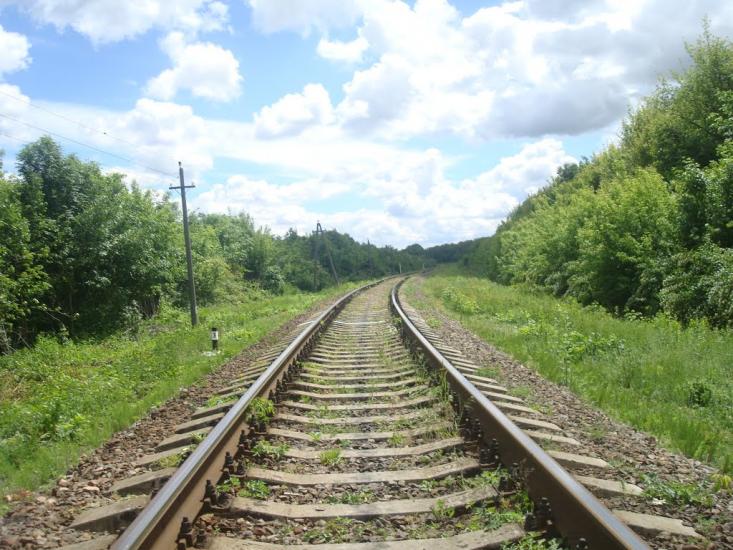 Жищинці з panoramio.com - Жищинцы