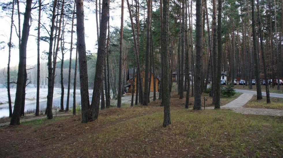 Снов'янка з panoramio.com - Сновянка