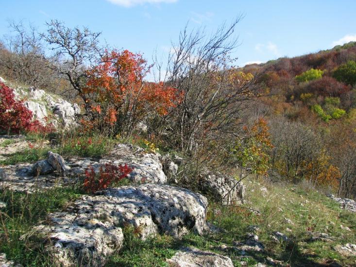 Колхозне з panoramio.com - Колхозное