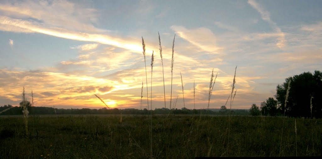 Слов'яносербськ з panoramio.com - Славяносербск