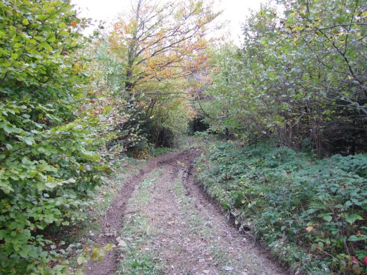 Опака з panoramio.com - Opaka