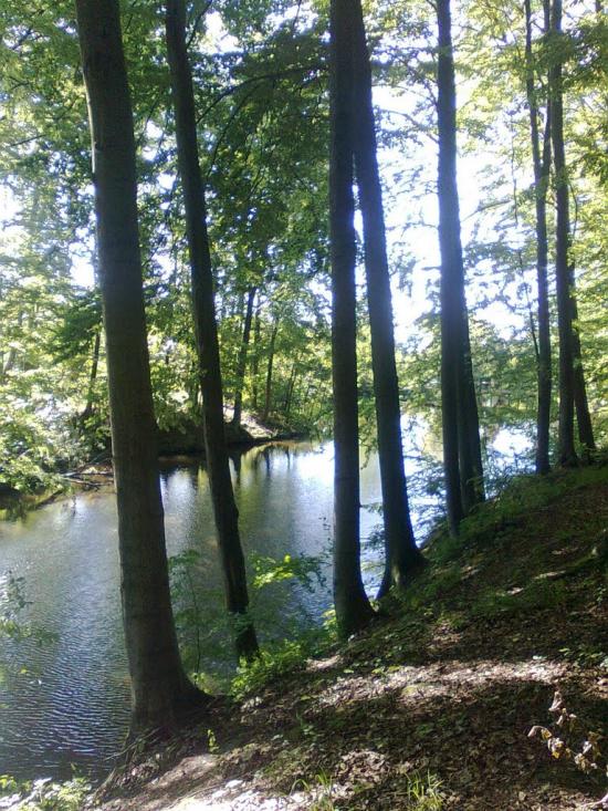 Топорівці з panoramio.com - Топорівці