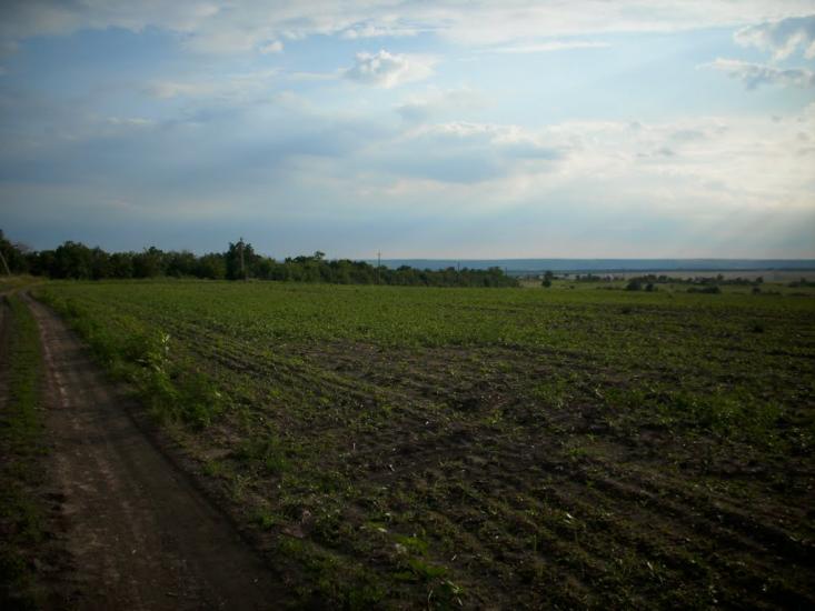 Роздільна з panoramio.com - Раздельная