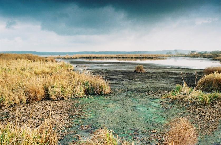 Івано-Франкове з panoramio.com - Ivano-Frankove