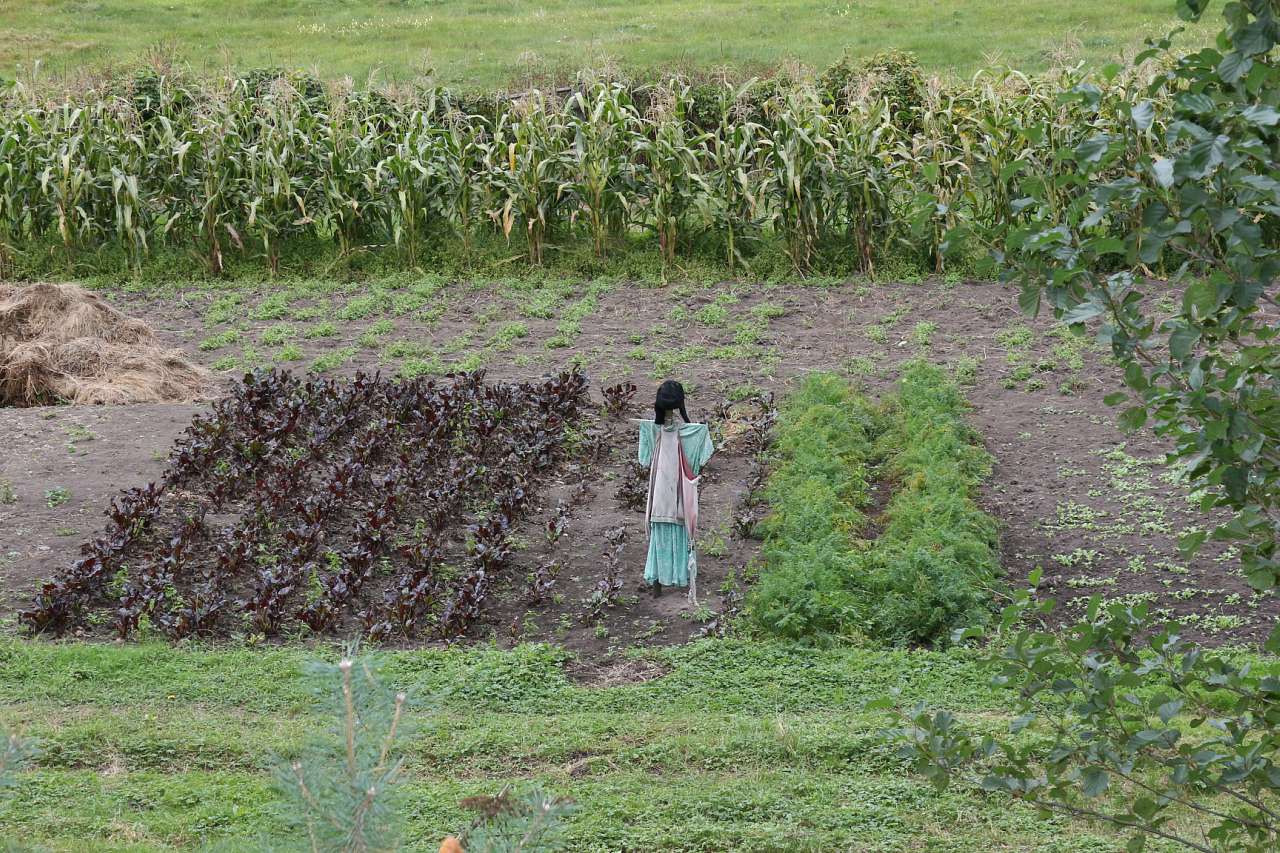 с. Гутище и его обитатели - Гутище