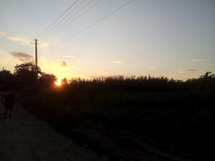 Ванчиківці з panoramio.com - Ванчиковцы