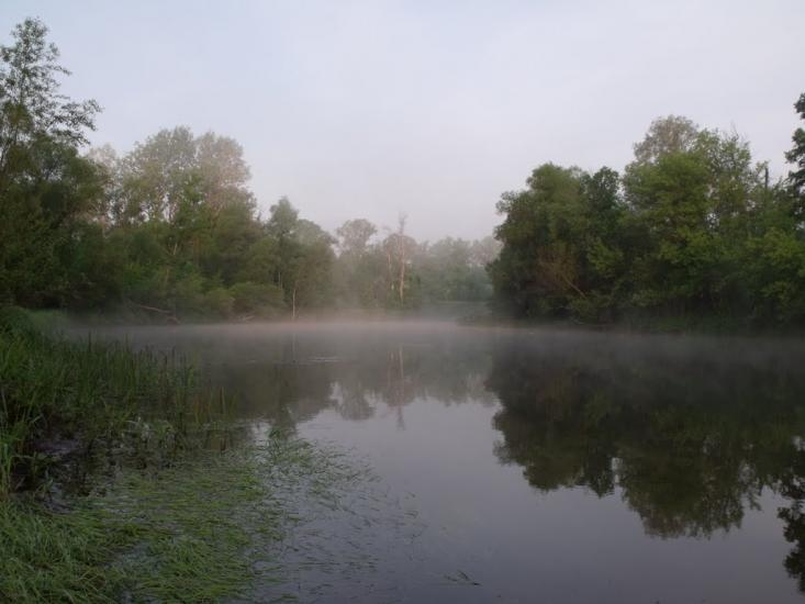 Рудневе з panoramio.com - Руднево