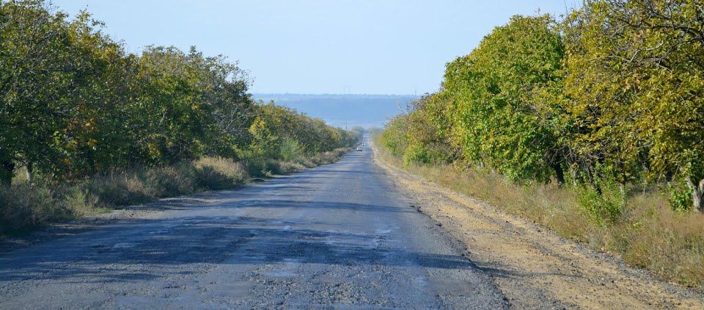Матишівка з panoramio.com - Матышевка