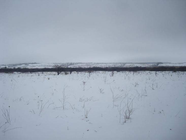 Літки з panoramio.com - Летки