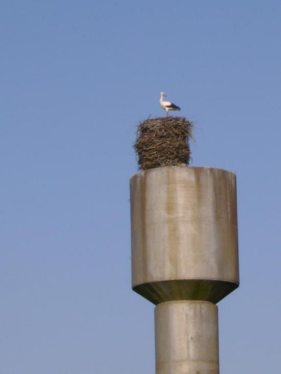 М'ясківка з panoramio.com - М'ясківка