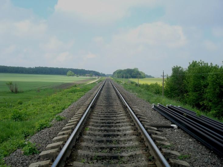 Нестерівці з panoramio.com - Нестеровцы
