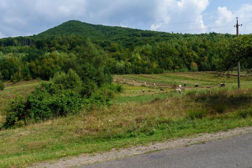 Кострина з panoramio.com - Кострина