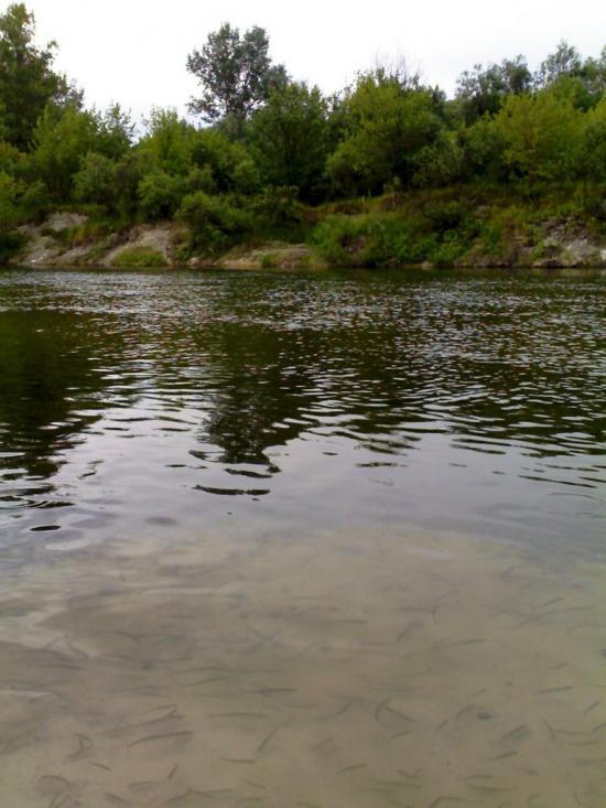 Собідка з panoramio.com - Сободка